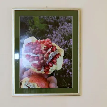 Διαμέρισμα Calluna *